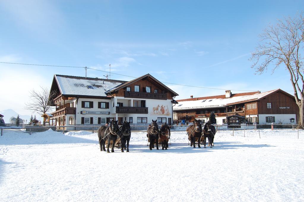 Gaestehaus Stefanie Schwangau Phòng bức ảnh